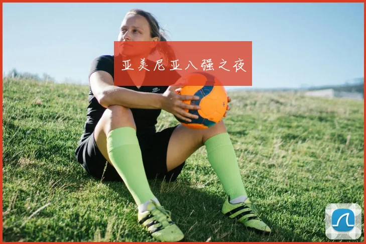 亚美尼亚八强之夜