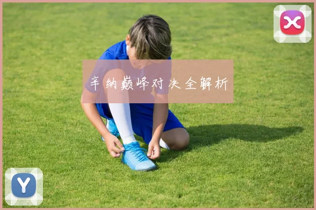 辛纳巅峰对决全解析