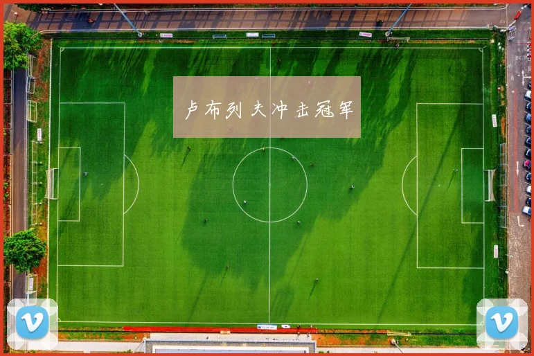 卢布列夫冲击冠军