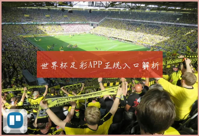 世界杯足彩APP正规入口解析