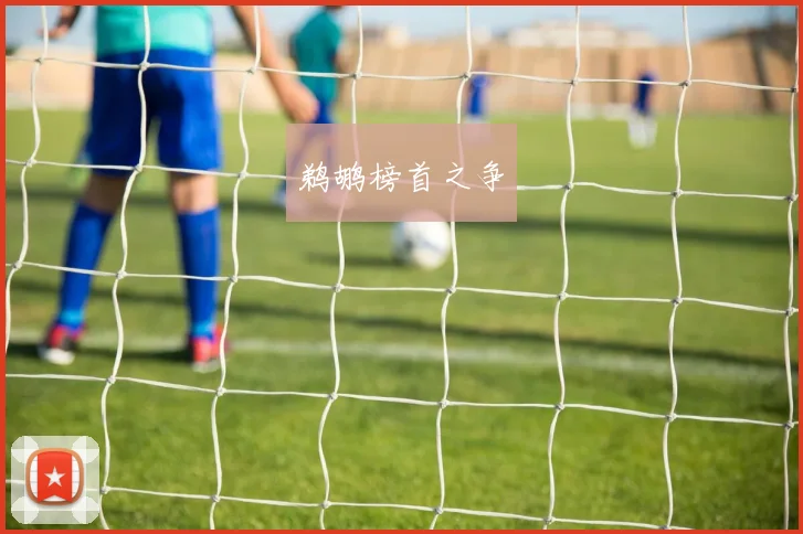 鹈鹕榜首之争