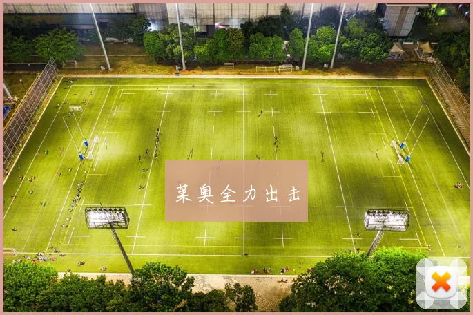莱奥全力出击