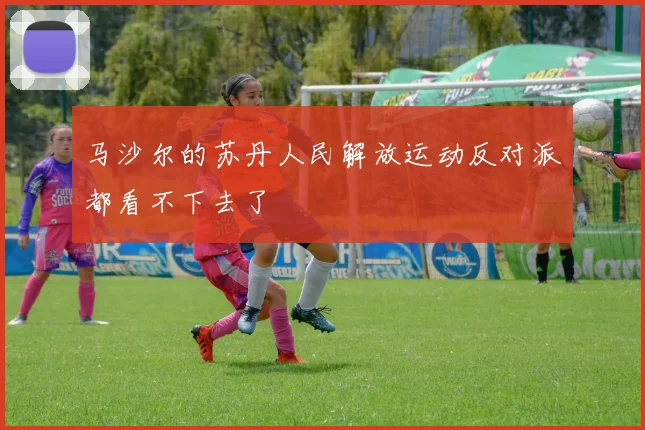 马沙尔的苏丹人民解放运动反对派都看不下去了