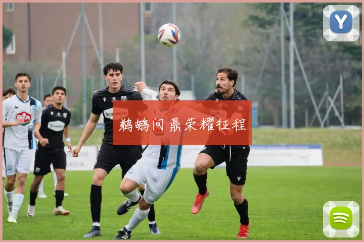 鹈鹕问鼎荣耀征程