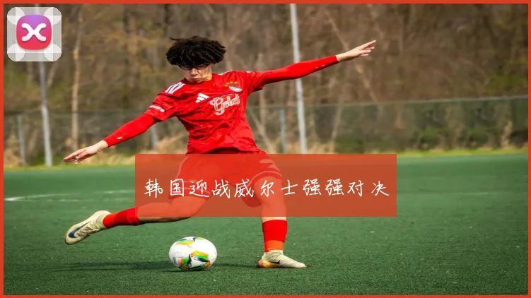 韩国迎战威尔士强强对决