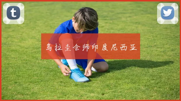 乌拉圭会师印度尼西亚