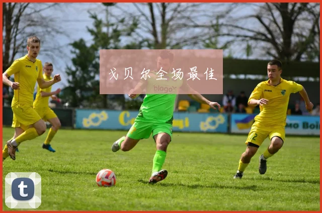 戈贝尔全场最佳