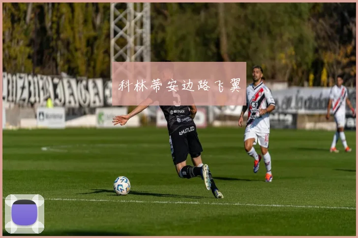科林蒂安边路飞翼