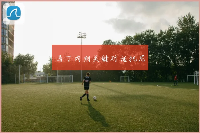 马丁内利关键对话托尼