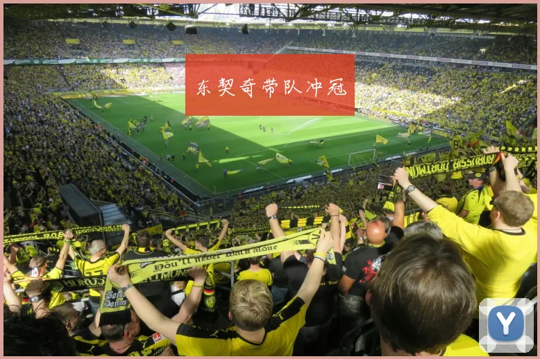 东契奇带队冲冠