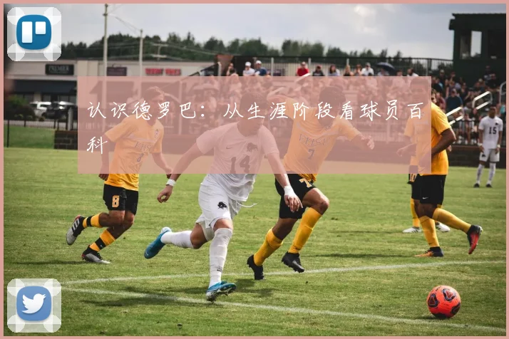 认识德罗巴：从生涯阶段看球员百科