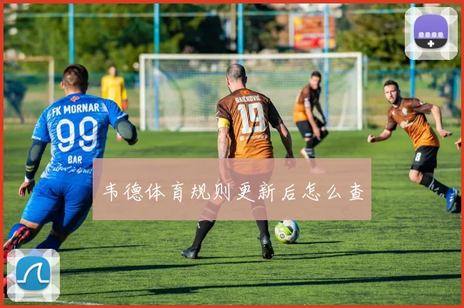 韦德体育规则更新后怎么查